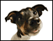  Employer Log In